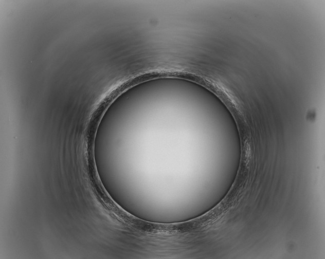X0000091560684200708171102