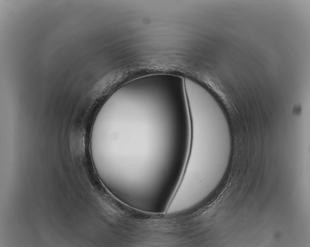 X0000091560685200708171101