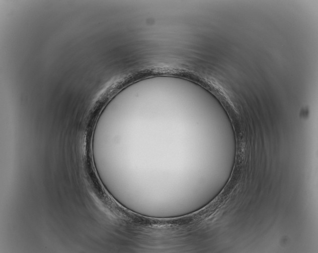 X0000091560686200708171101
