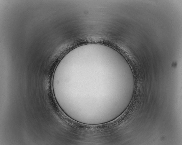 X0000091560687200708171101