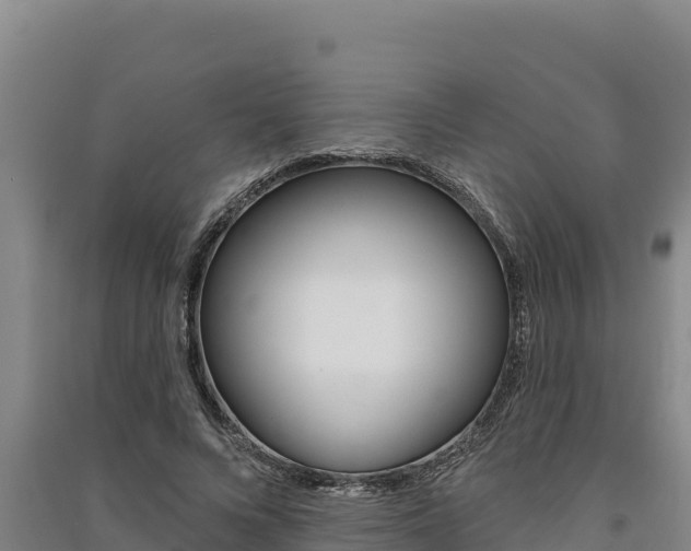 X0000091560688200708171101