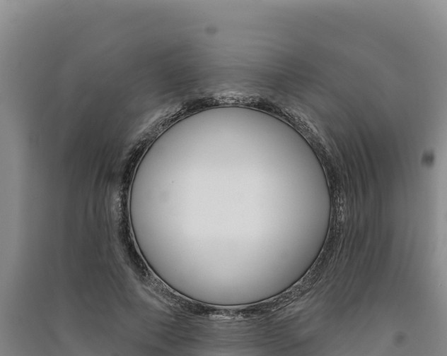 X0000091560690200708171101