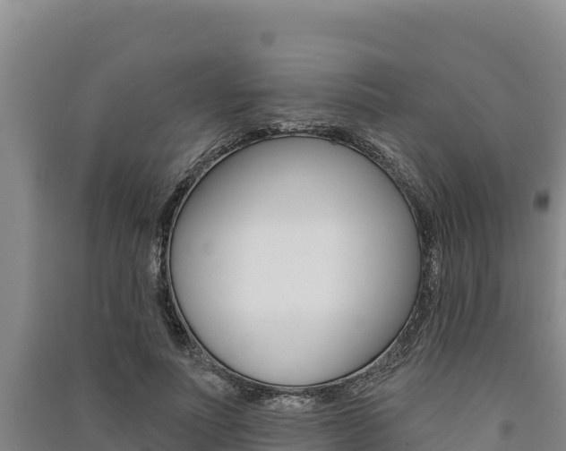 X0000091560691200708171101