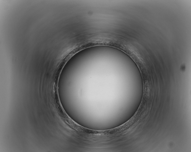 X0000091560692200708171101