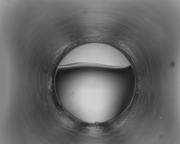 X0000091560693200708171101