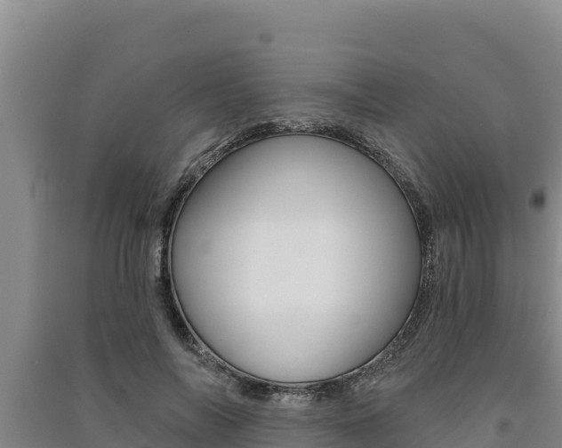X0000091560694200708171101