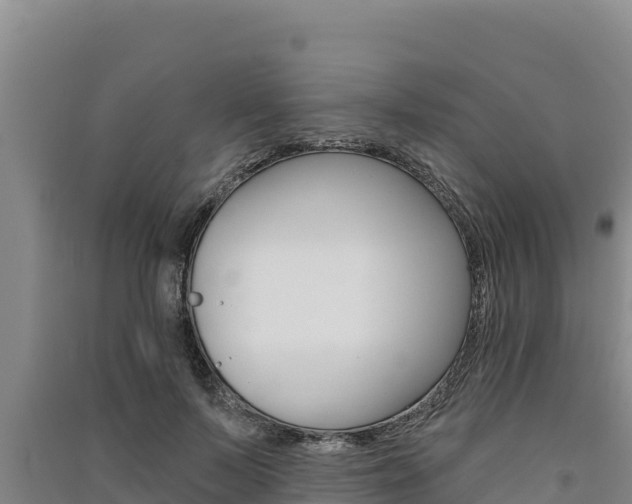 X0000091560695200708171101