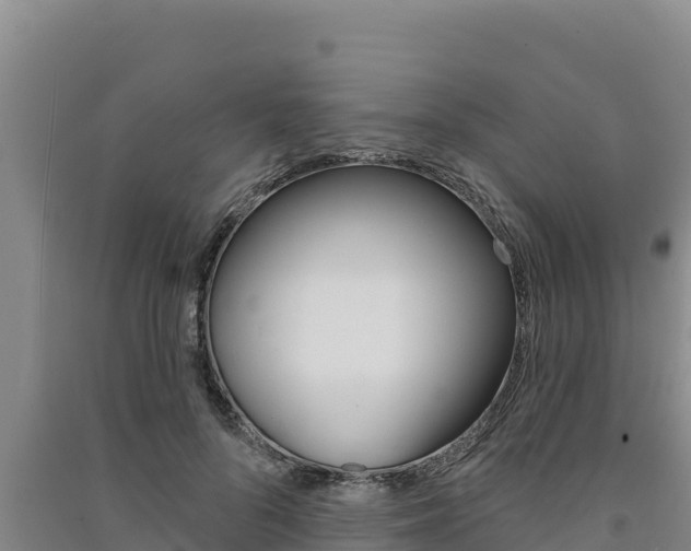 X0000091560696200708171101