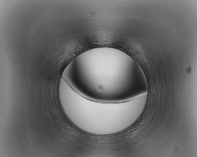 X0000091560697200708171101