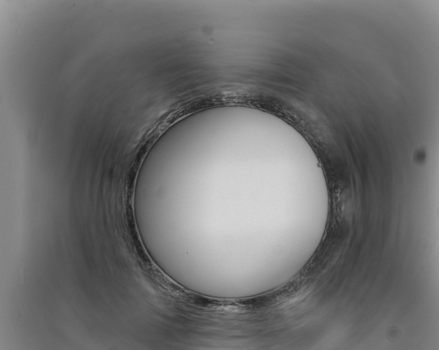 X0000091560698200708171101