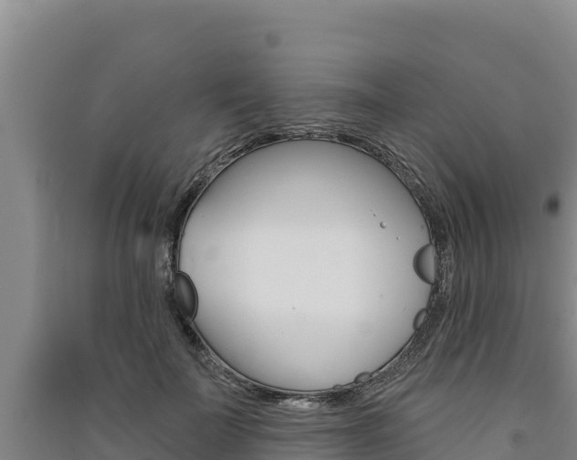 X0000091560699200708171101