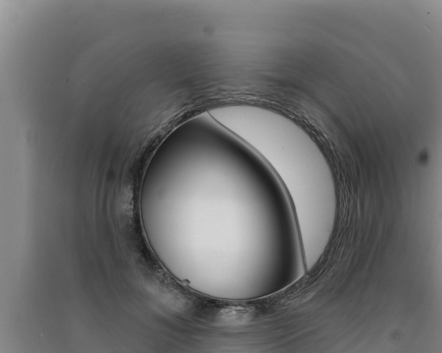 X0000091560700200708171101