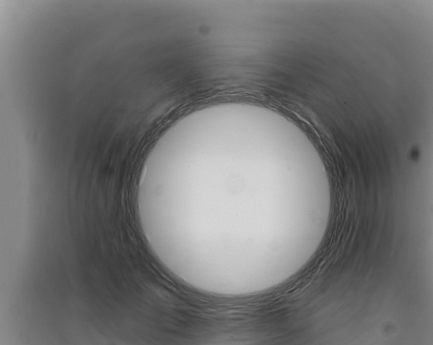 X0000091560701200708171101