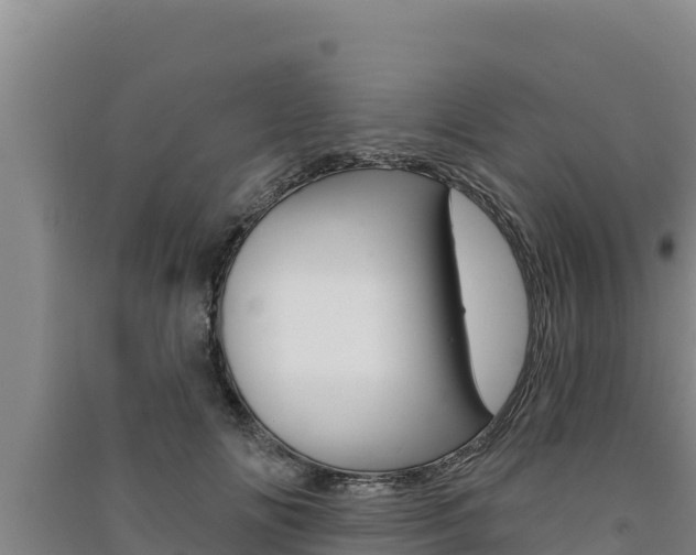 X0000091560702200708171101