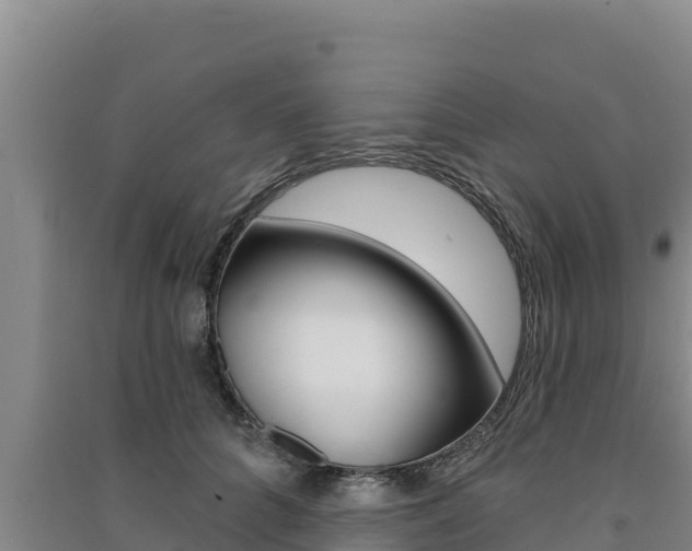 X0000091560704200708171101