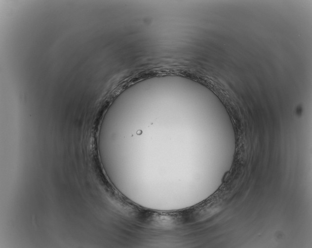 X0000091560706200708171101