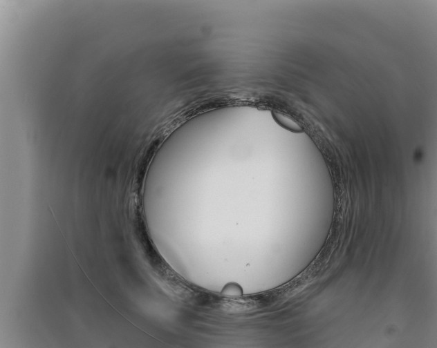 X0000091560707200708171101