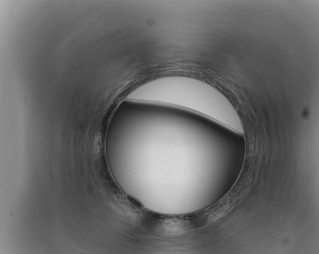 X0000091560708200708171101