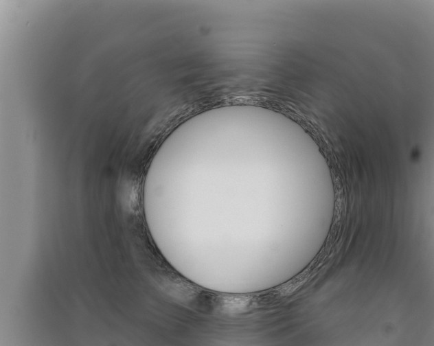 X0000091560709200708171101
