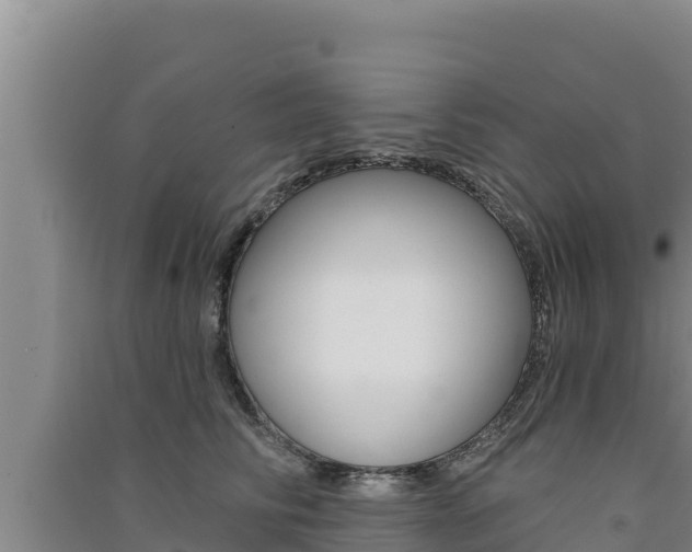 X0000091560710200708171101