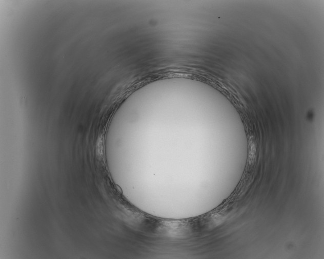 X0000091560713200708171101
