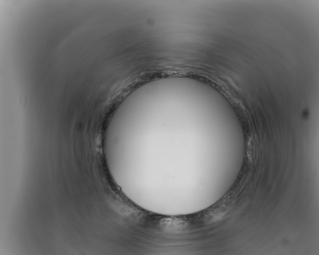 X0000091560714200708171101