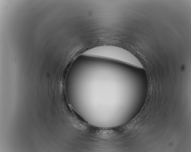 X0000091560716200708171101