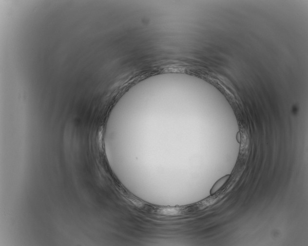 X0000091560717200708171101