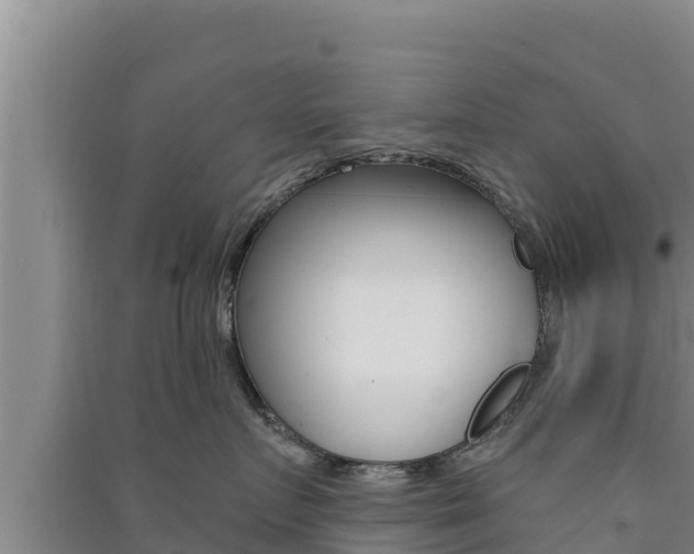 X0000091560719200708171101