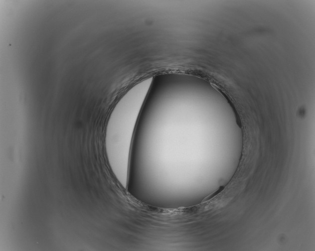 X0000091560720200708171101