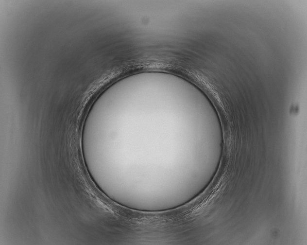 X0000091560721200708171100