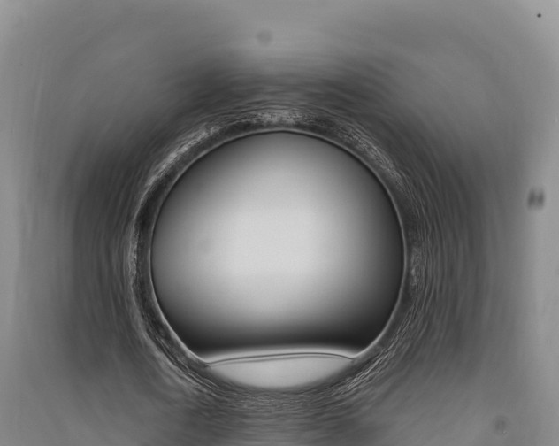 X0000091560722200708171100