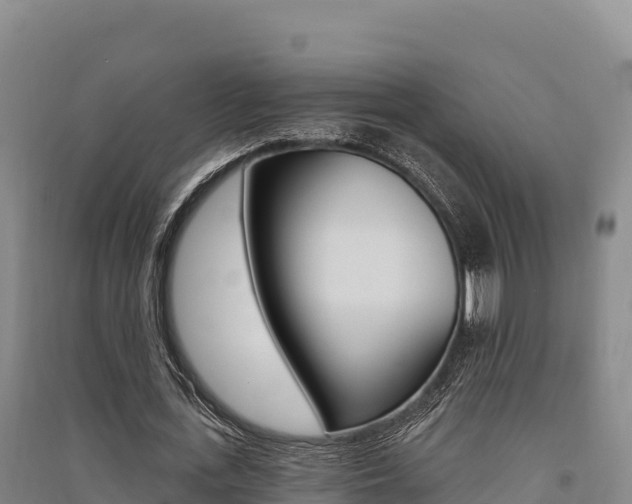 X0000091560723200708171100