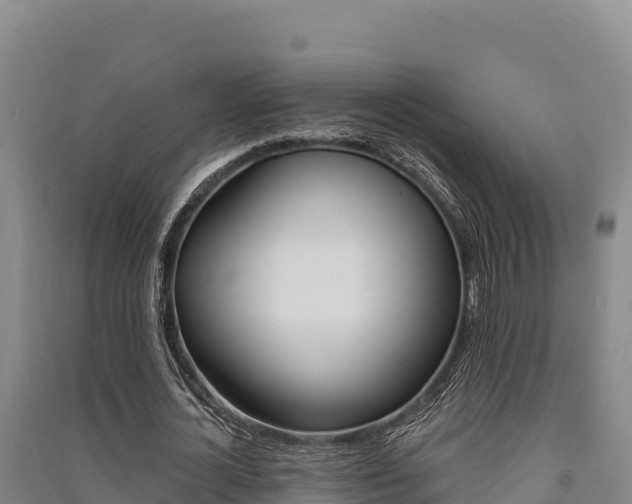 X0000091560724200708171100