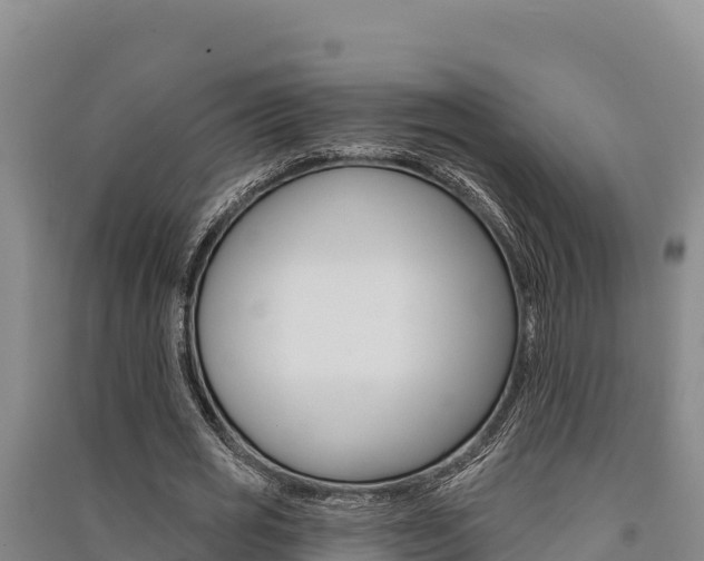 X0000091560725200708171101