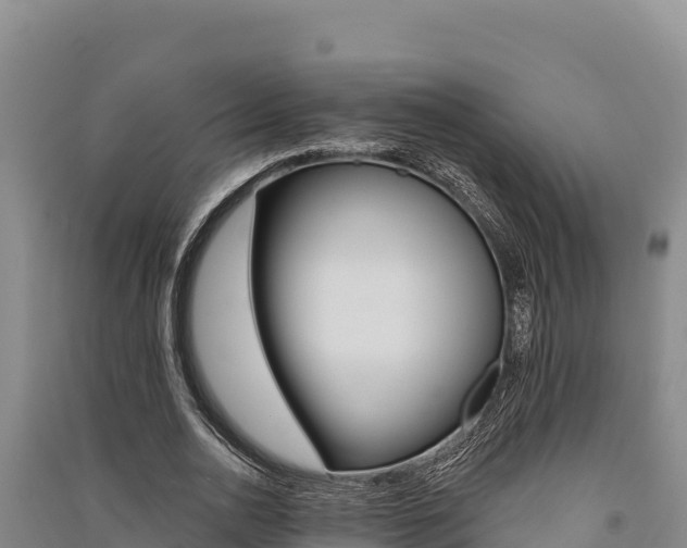 X0000091560726200708171101