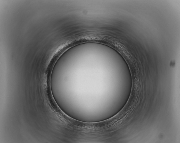 X0000091560727200708171101