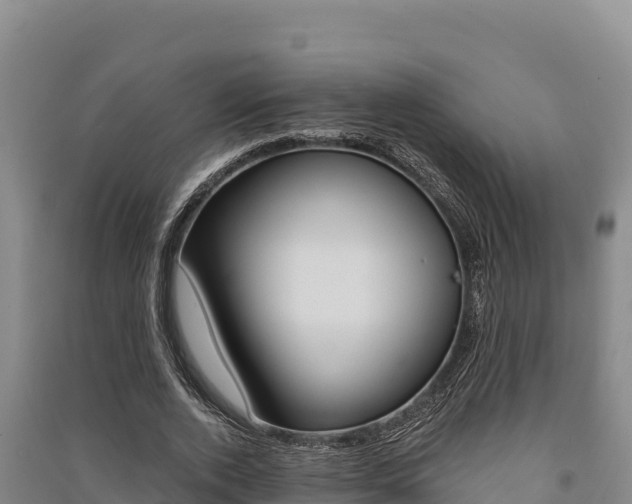 X0000091560728200708171101