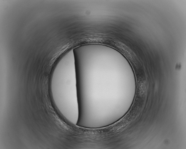 X0000091560729200708171101