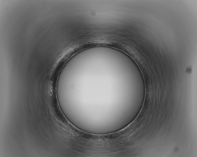 X0000091560731200708171101