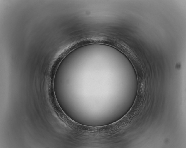 X0000091560732200708171101
