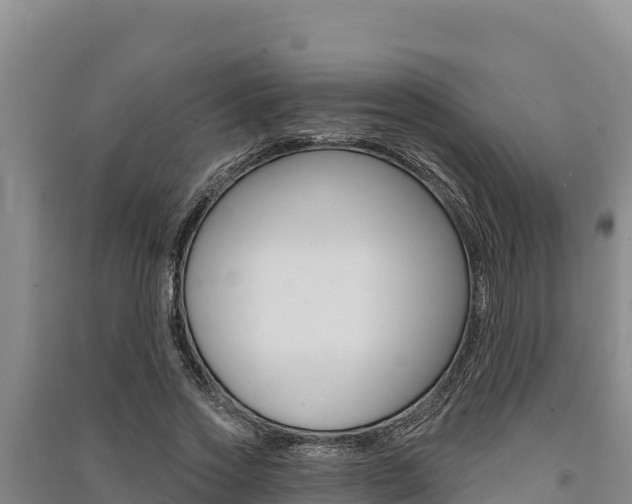 X0000091560733200708171101