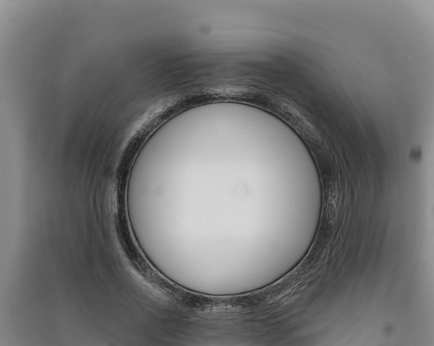 X0000091560734200708171101
