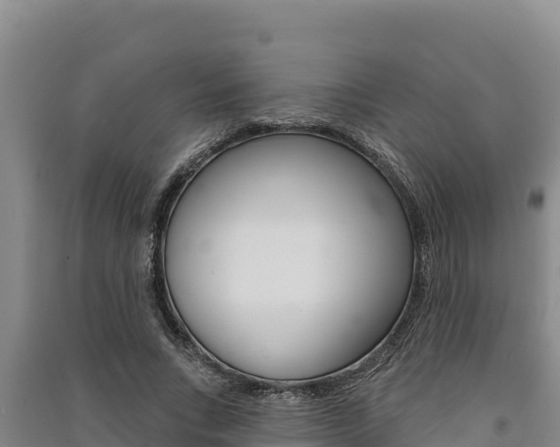 X0000091560735200708171101