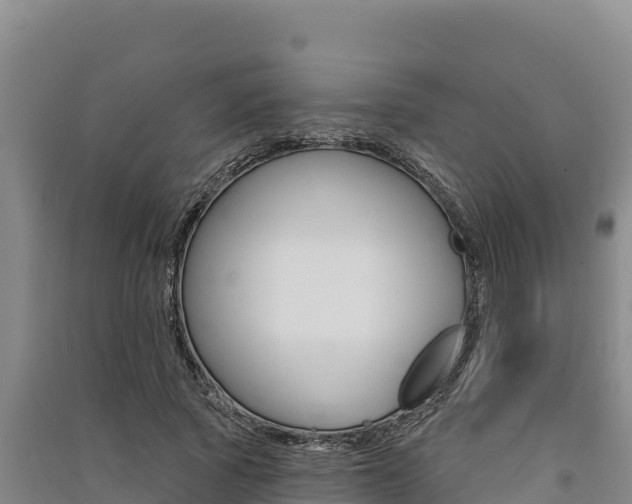 X0000091560737200708171101