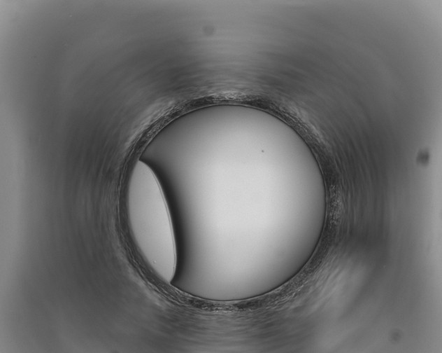 X0000091560738200708171101