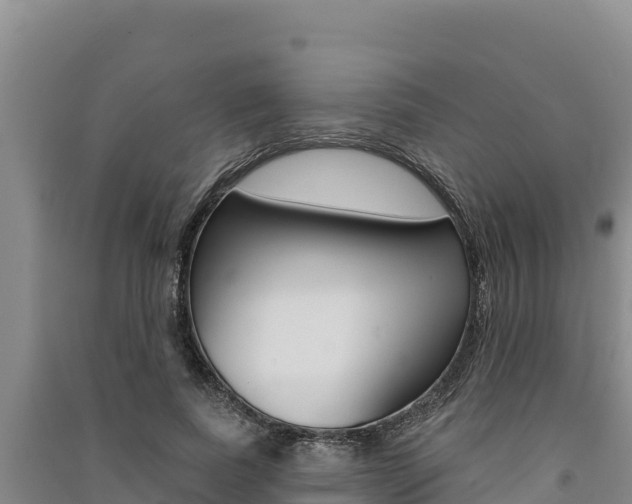 X0000091560739200708171101