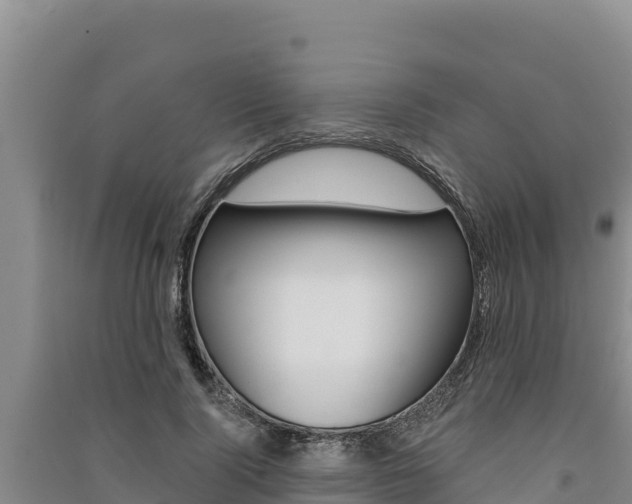 X0000091560740200708171101