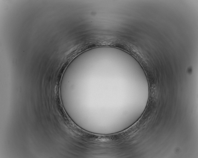 X0000091560741200708171101
