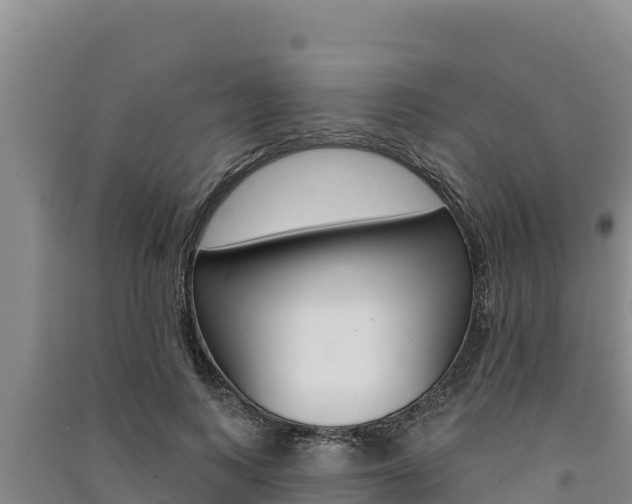 X0000091560743200708171101